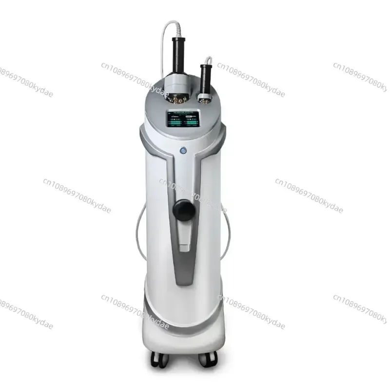 

Professional Roller Massage Shaping Sl Physical Therapy Cellulite Removal Inner Ball Roller Vela Body Shape