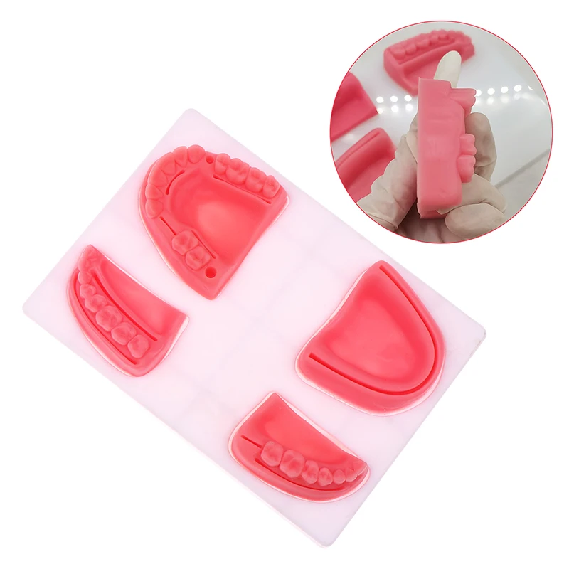 1set Dental Oral Gum Suture Training Module Silicone Periodontitis Suture Model