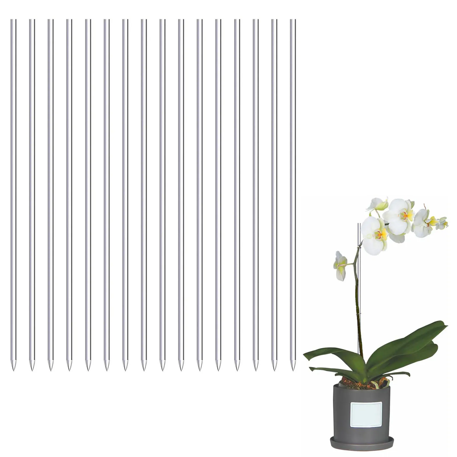 

Acrylic Plant Stakes Clear Orchid Stakes Potted Plant Support Stakes Durable Plant Support Sticks Garden Plant Support Rack