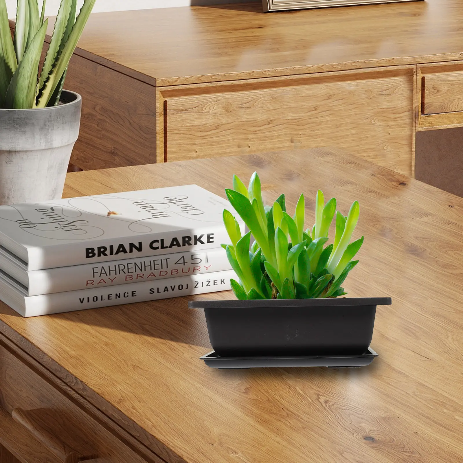 

Набор прямоугольных пластиковых горшков для суккулентов с поддонами для комнатных растений, кактусов, декора балкона