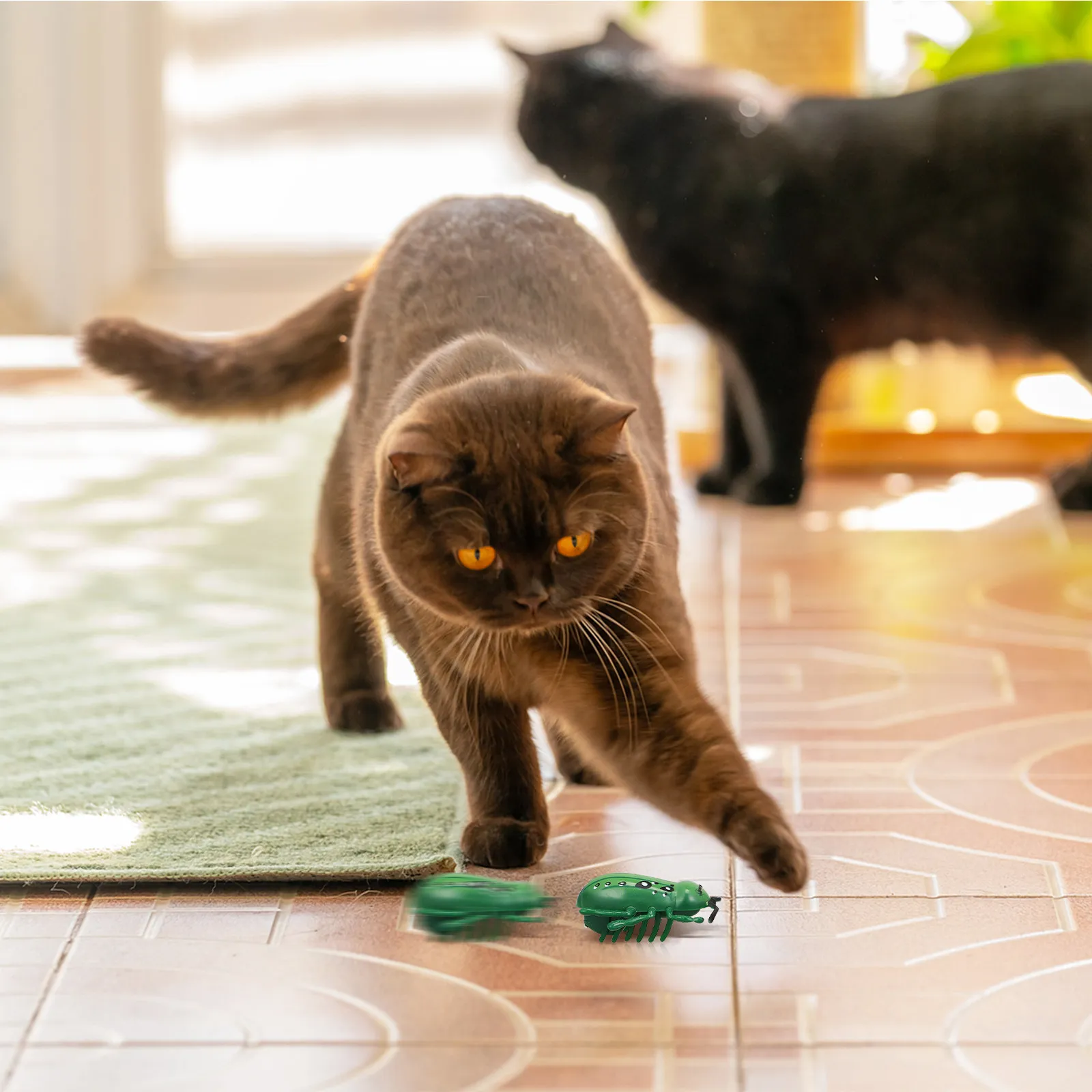 

4Pcs Electric Moving Bugs Simulation Auto Walking Small Cat Teaser Interactive Mini Crawling Bugs Button Included