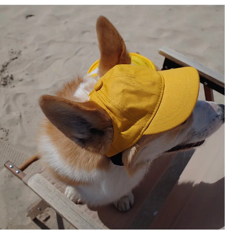 Pet Hat.