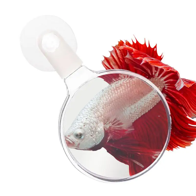 Fish Tank Magnifier Magnifying Glass With Suction Cup Animal Plant Observation Fish Tank Viewer For Viewing Coral And Taking