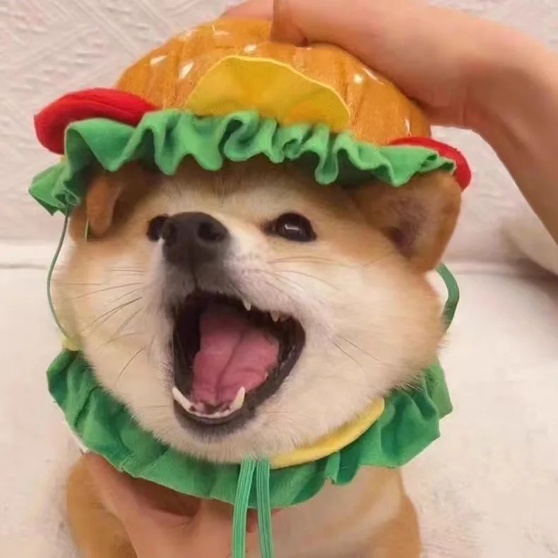 Cat Headgear Dog Pet Burger Hat Cute Cross Dressing Hat Photo Prop Dogs Accessoires Puppy Accessories