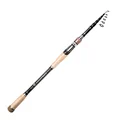 Spinning Rod