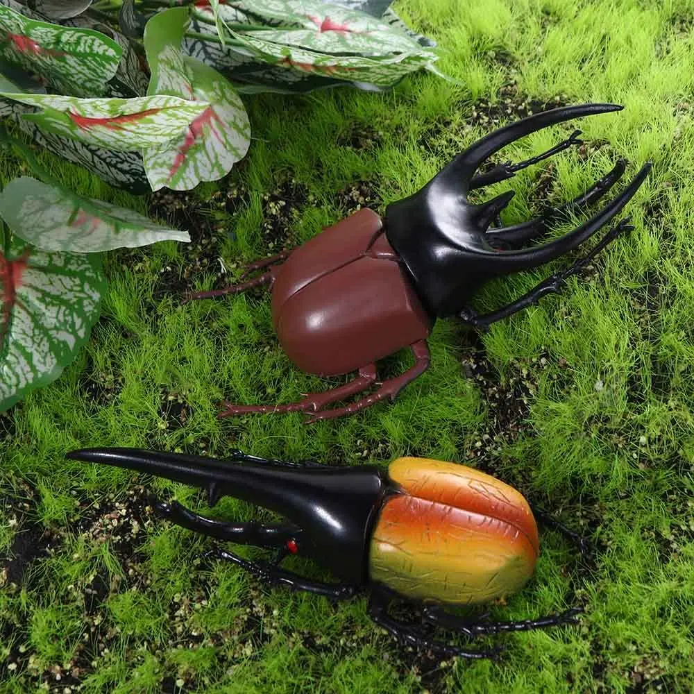 Collection  Beetle Figures Simulation Animals Insect  Simulation Beetle Beetle  Insect Model Special Lifelike Model