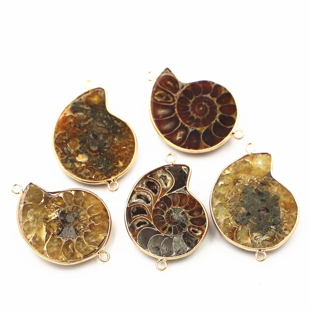 Natural Stone Large Ammonite Snail Seashell Connectors Pendants For Jewelry Accessories Making Wholesale 5pcs  55-45MM