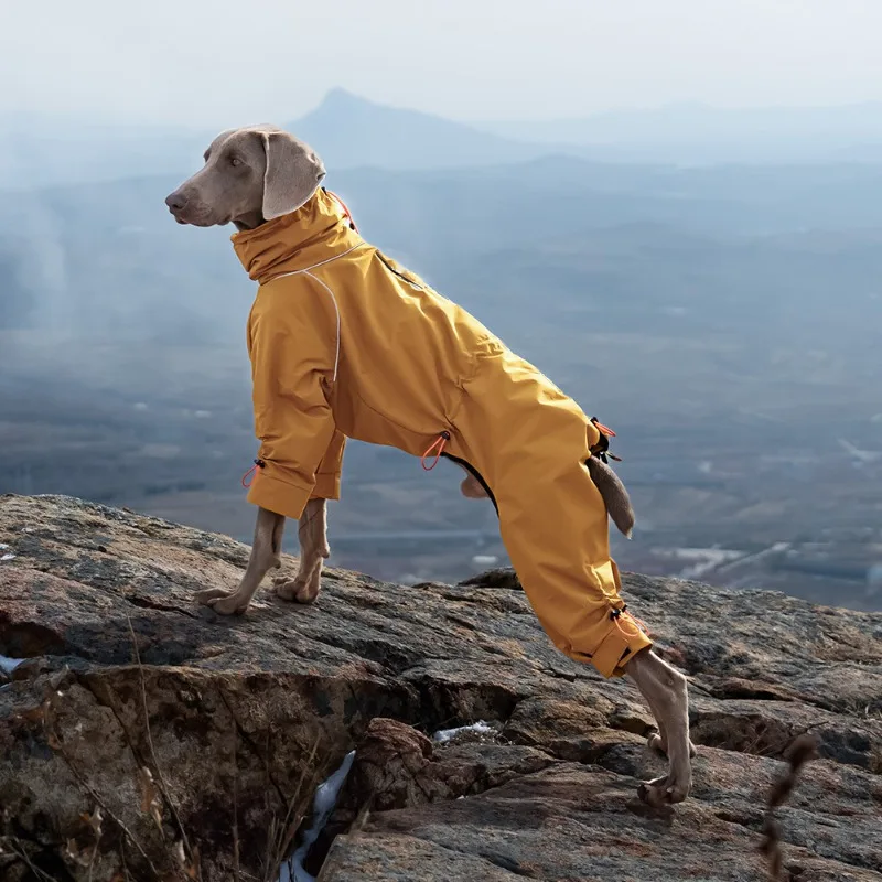 This Windproof Dog Parka with a High Collar Provides Full Coverage Keeping Pets Warm and Protected During Outdoor Hiking
