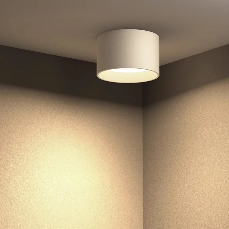2026 Small Surface Mounted Ceiling Lamp  LED Downlight for Living Room Bedroom Kitchen Corridor Down Lights