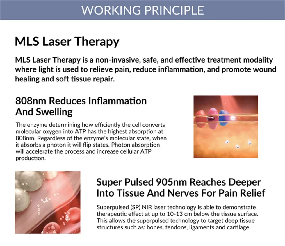 Frovab 305W klasy IV 905nm * 4 808nm * 10 650nm * 1 Super pulsacyjny Laser podczerwony do użytku domowego głębokiej tkanki terapia laserowa pielęgnacji bólu nóg