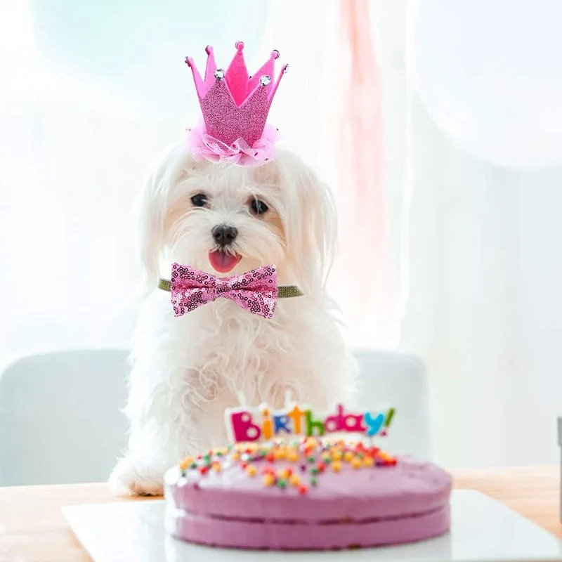 

Dog Birthday Party Set Doggy Tutu Dress Crown Banner Balloons Cake Bandana Photo Booth Decoration Small Female Pets Cat Celebrat