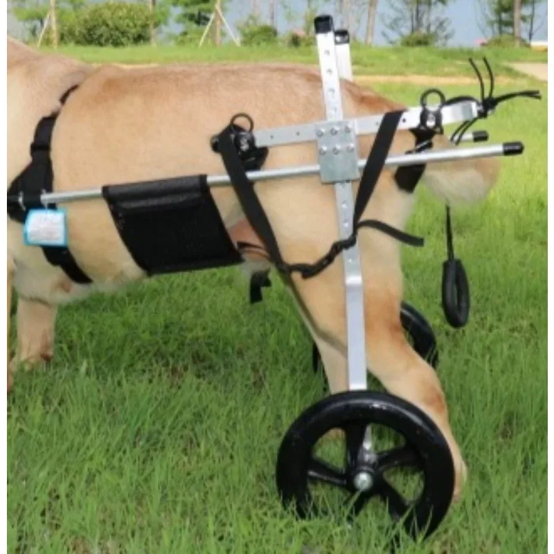 Dog Paralysis Wheelchair Golden Retriever Rear Leg Disabled Scooter Medium and Large Elderly Dog Auxiliary Bracket No Mistake