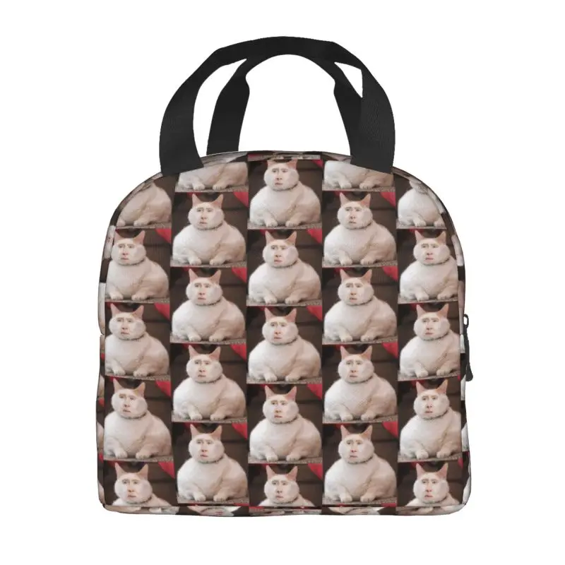 Nicolas Cage Cat Meme Thermal Insulated Lunch Bags Women Portable Lunch Container for Work School Travel Multifunction Food Box