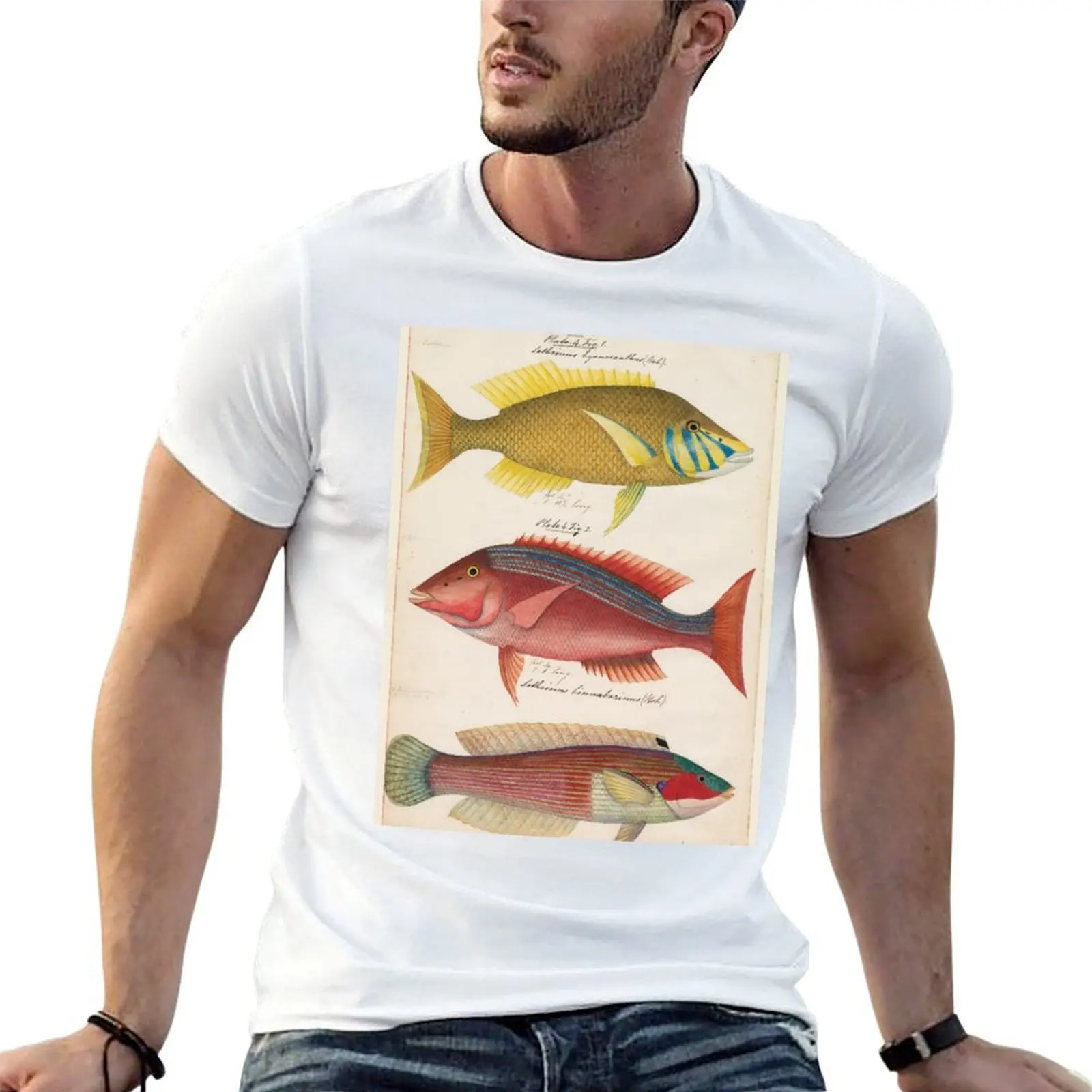 Dibujos de peces australianos, circa 1840, camiseta de lujo para hombre, camiseta personalizada