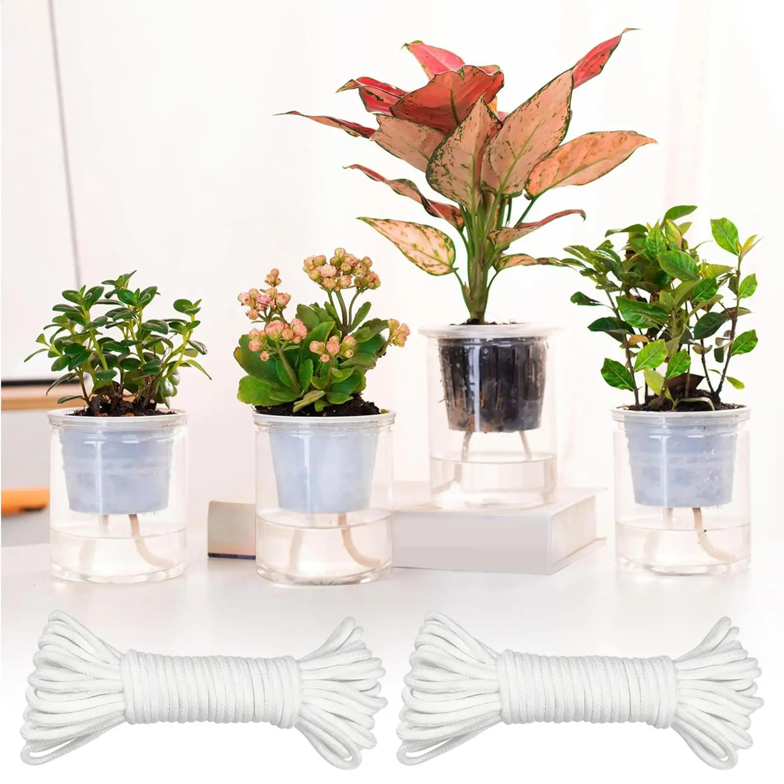 Plant Wicks For Self Watering - огляд і ціна Self Watering Planter