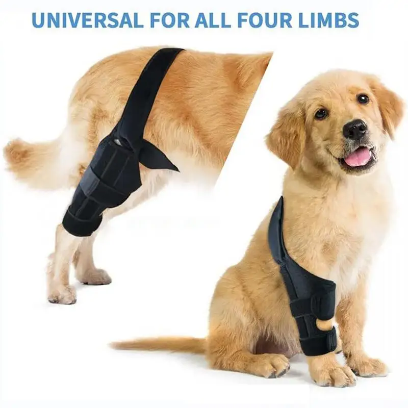 Dog Knee Support Brace Dog ACL Knee Support Brace Rear Leg Stabilizer For Small Dogs Neoprene Hip Brace With Adjustable Traction