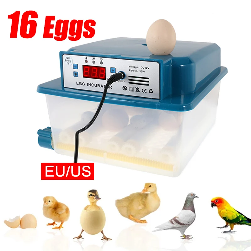 16 Egg Automatic Incubator Eggs Brooder Chicken Duck Quail Birds Electric Incubators Household Farm Hatchery Incubation Tools