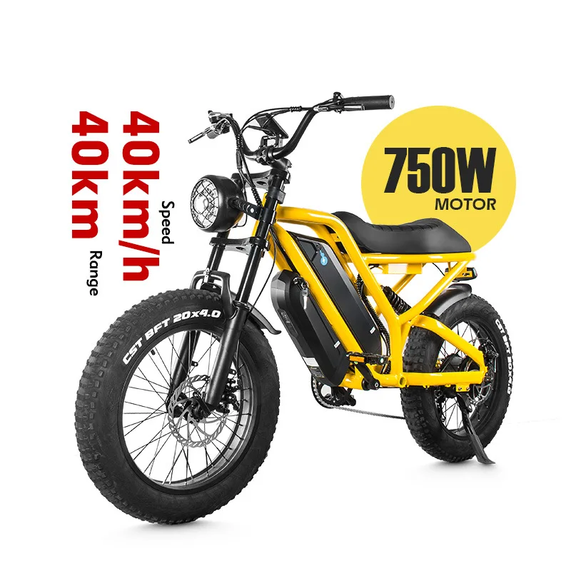 European Warehouse 20-inch 40KM Electric Motorcycle Integrated Wheel Fat Tire Electric Snowmobile Off-road Power Bike