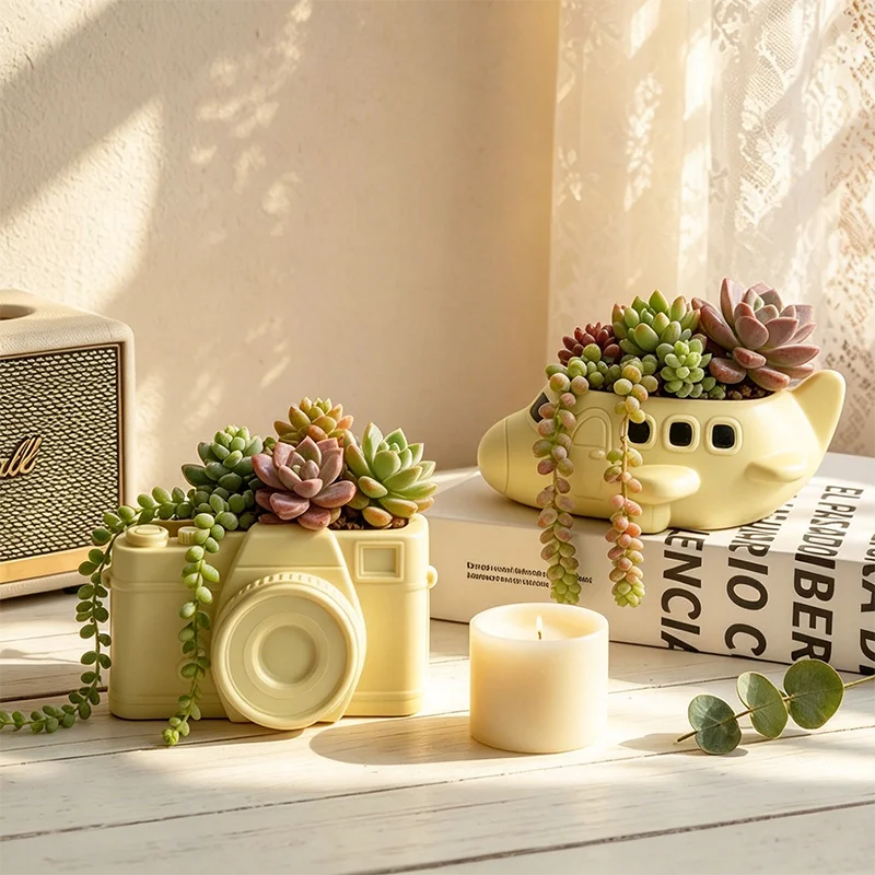 Novelty Airplane Resin Succule - đánh giá và giá Snake Plant Ceramic
