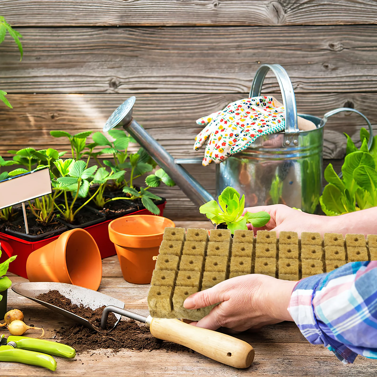 

100 шт., стартовые кубики для семян, пробки для выращивания растений, гидропоники, беспочвенные стартовые блоки для культуры для системы клонирования расмножения растений