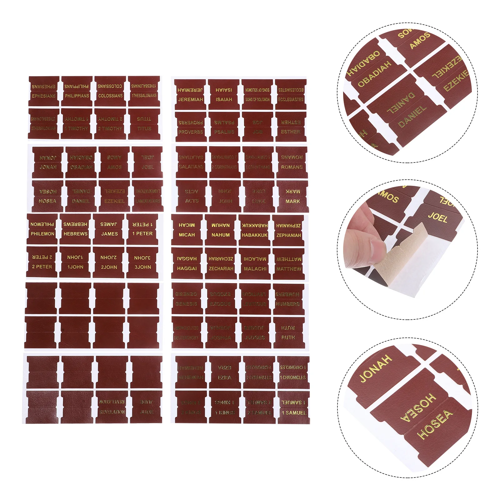

10 Sheets Bible Index Bible Book Clear Label Stickers Time-Saving Study Dividers Portable Decorative Tabs For