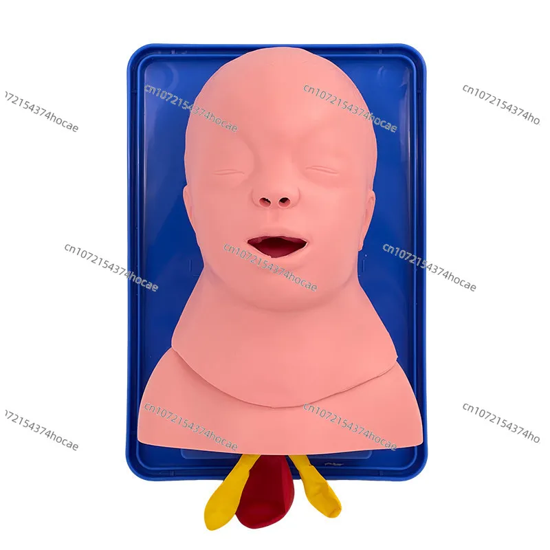 Airway obstruction model, suitable for simulating human body, and neonatal cardiopulmonary resuscitation model with infarction