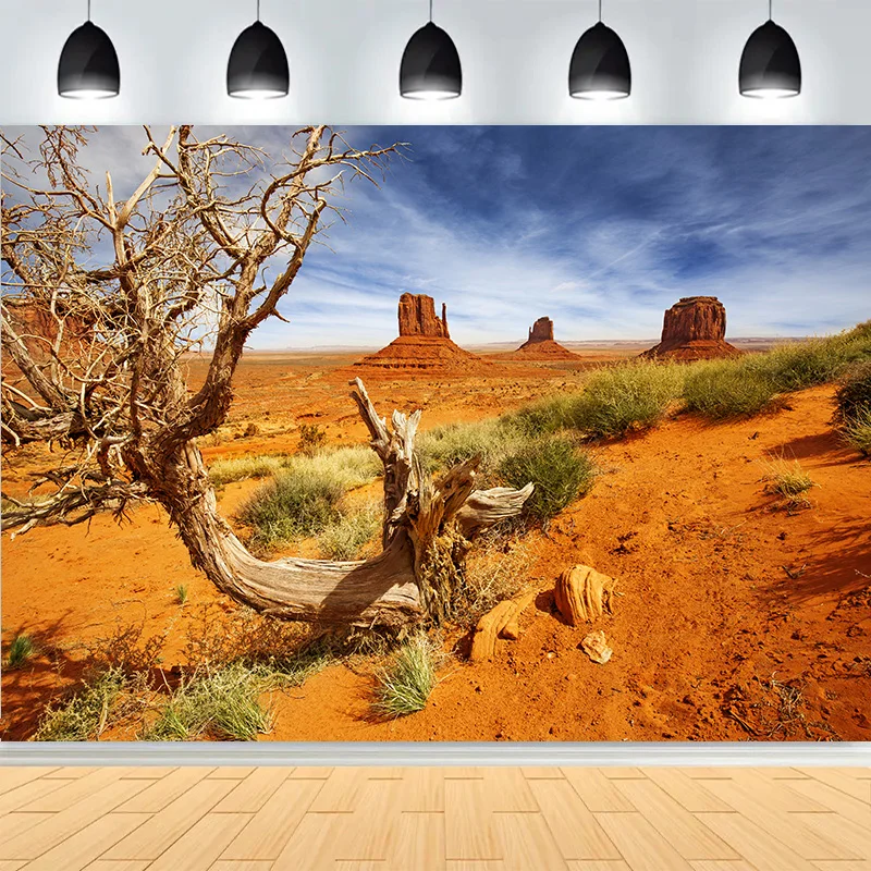 

Desert Landscape With Bushes Trees Mountains Photography Backdrops Cactus Plant Joshua Rock Formations Photo Background RD-04