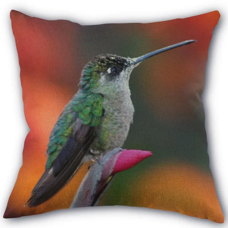 Nice Hummingbird Animal Pillowcase Cotton Linen Fabric Square Zipper Pillowcase 45X45cm Wedding Decorative Pillow cover 11-17