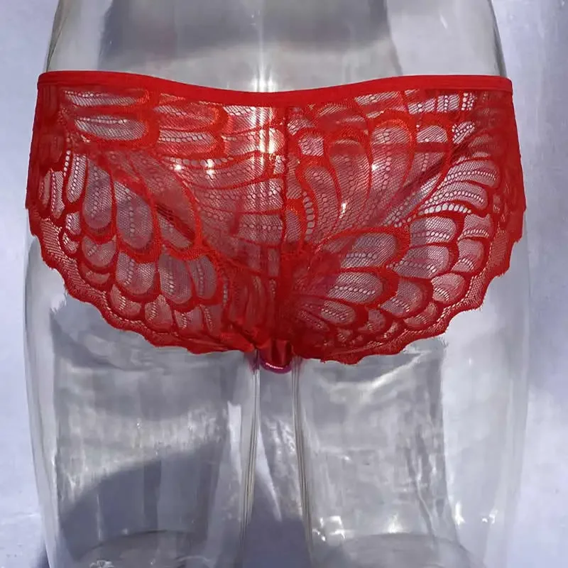 Camel Toe Control Panty Lace Hiding Gaff Underwear Crossdresser Transgender See Through Briefs Drag Queen Shemale Panties