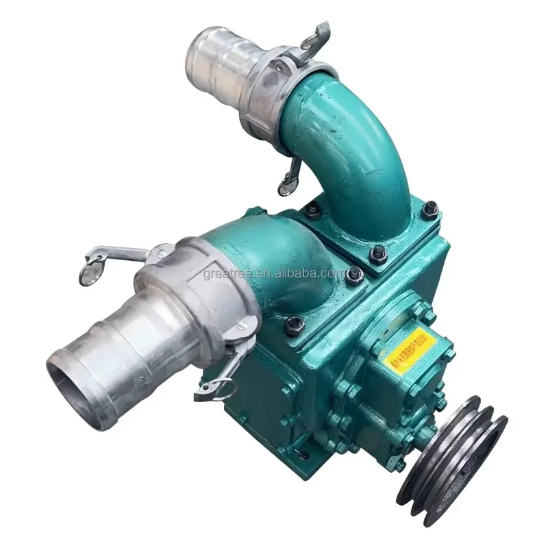 

China Manufacture Slurry Pump for Sewage Waste for Sale Pump Automatic Manure Machine Slurry Pump Supplier