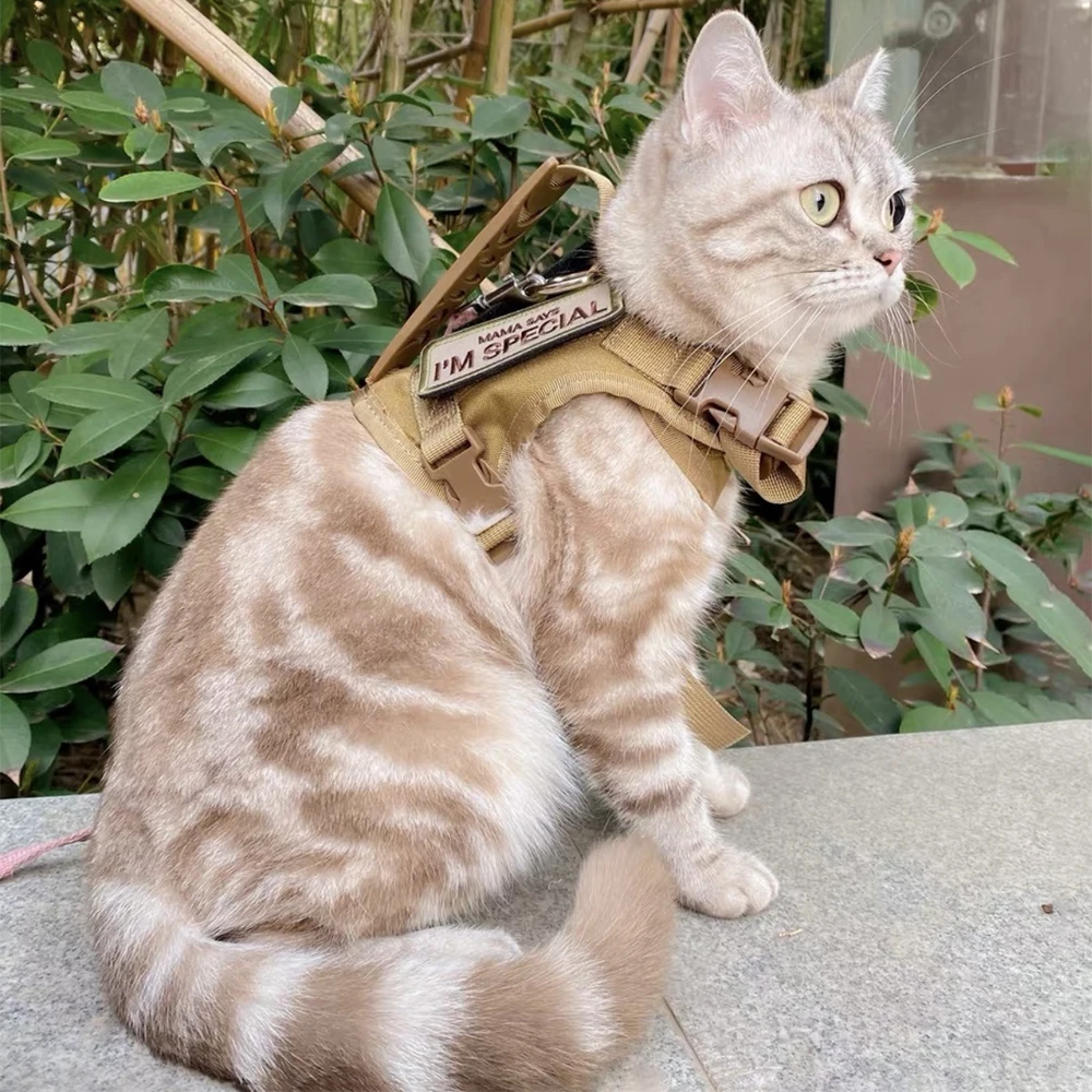 Cat Harness  Vest Military Dog Working Training Accessories Tactical  Leash with Patch Set for Cats and Small Dogs