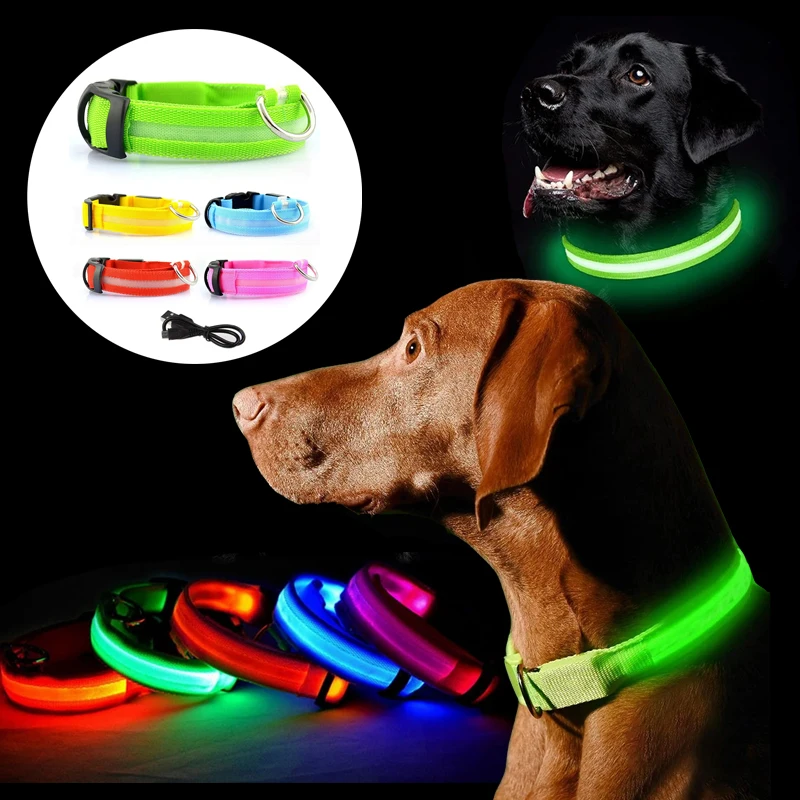 LED Glowing Dog Collar USB Recharge Luminous Collar for Small Large Dogs Anti-Lost Necklace Night Safety Adjustable Pet Products