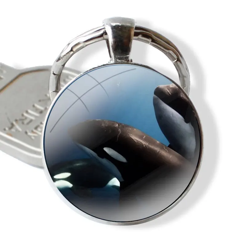 Glass Metal Pendant Key Chain Classic Men Women Key Ring Accessories Jewelry Gifts Killer Whale Orca