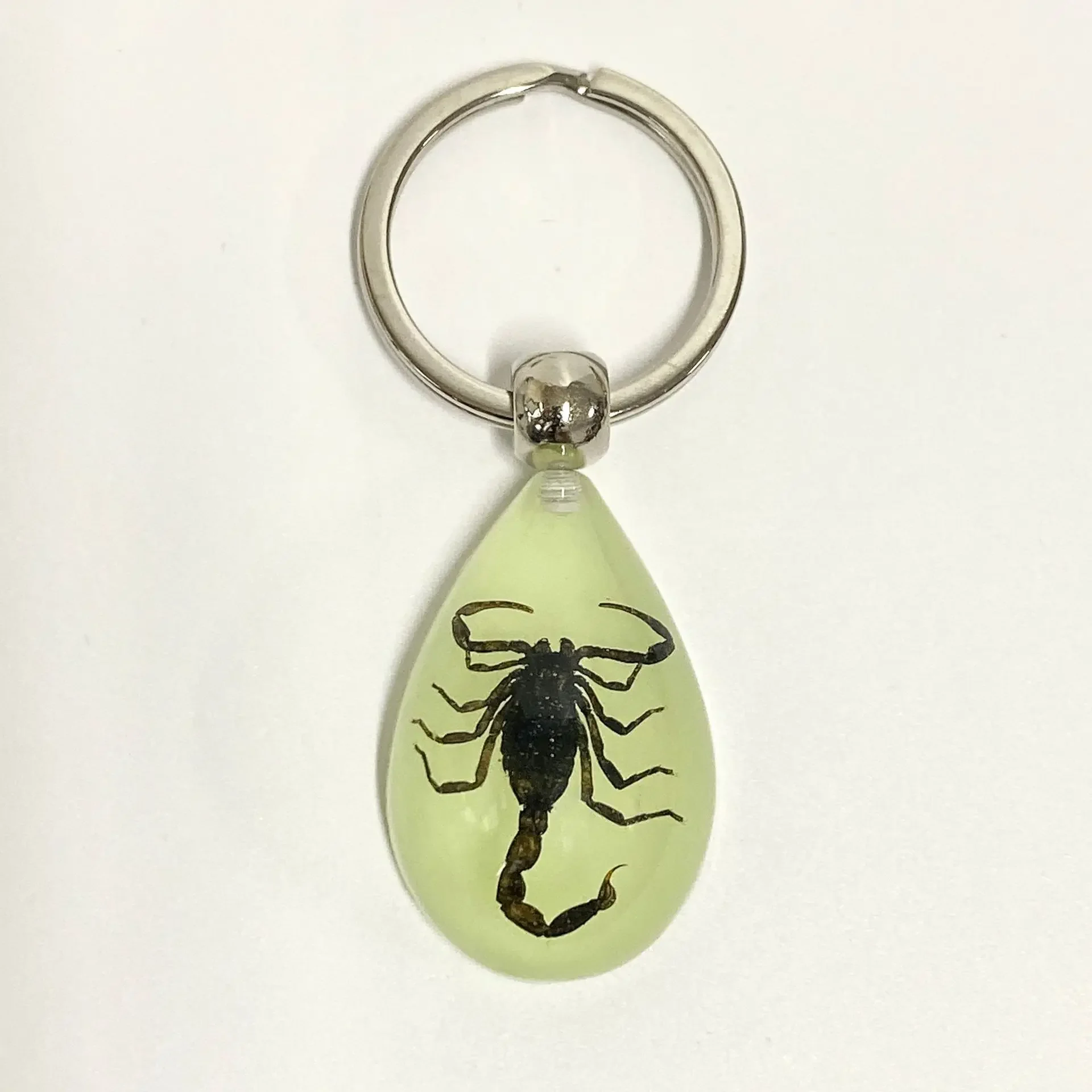 6 stuks insect specimen sleutelhanger, kunstmatige epoxyhars auto hanger, kantoorornament, insect amber hanger woondecoratie