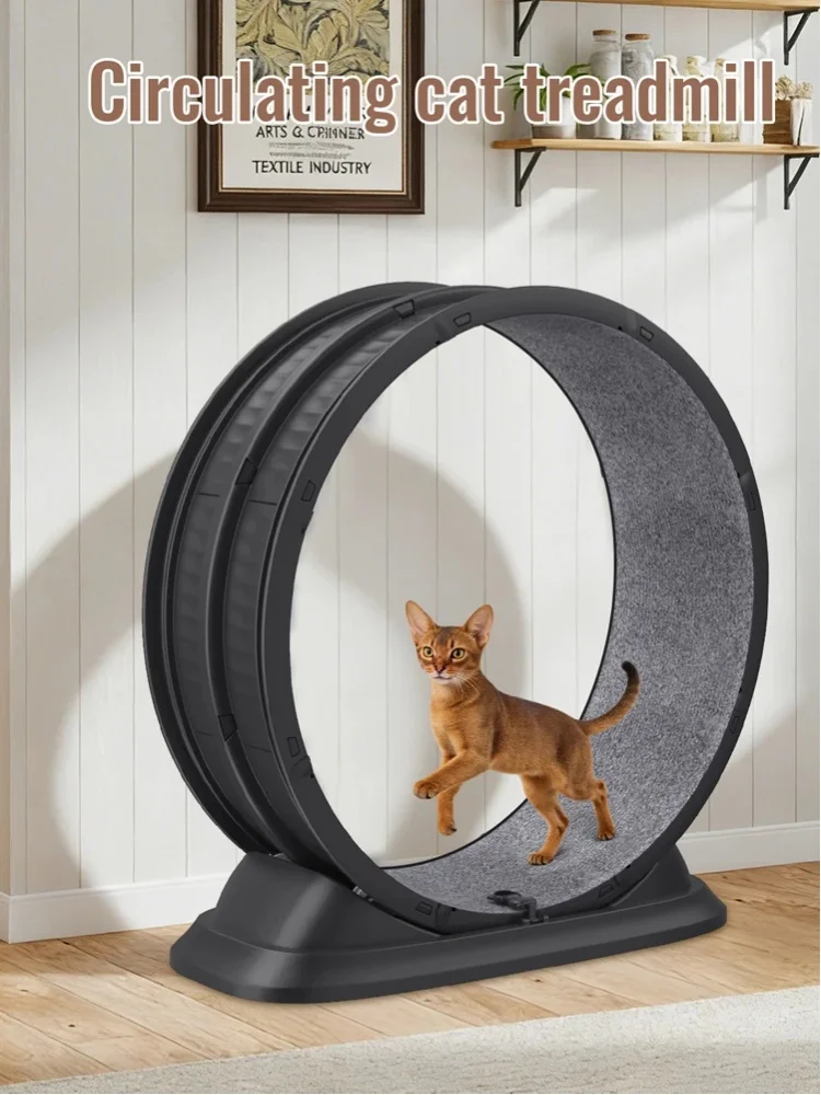    Katzen-Laufrad für drinnen, 31,5 Zoll großes Katzen-Laufrad mit abnehmbarem Teppich und Sicherheitsverschluss, ultra-leises Haustier-Laufband für Gehtraining.