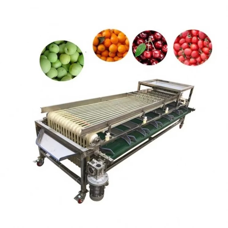 Customized Automatic Fruits Sorting Machine Fruit Seeds Grain Longan Grading Sorting Selection Machine Coffee Cherries Sorter