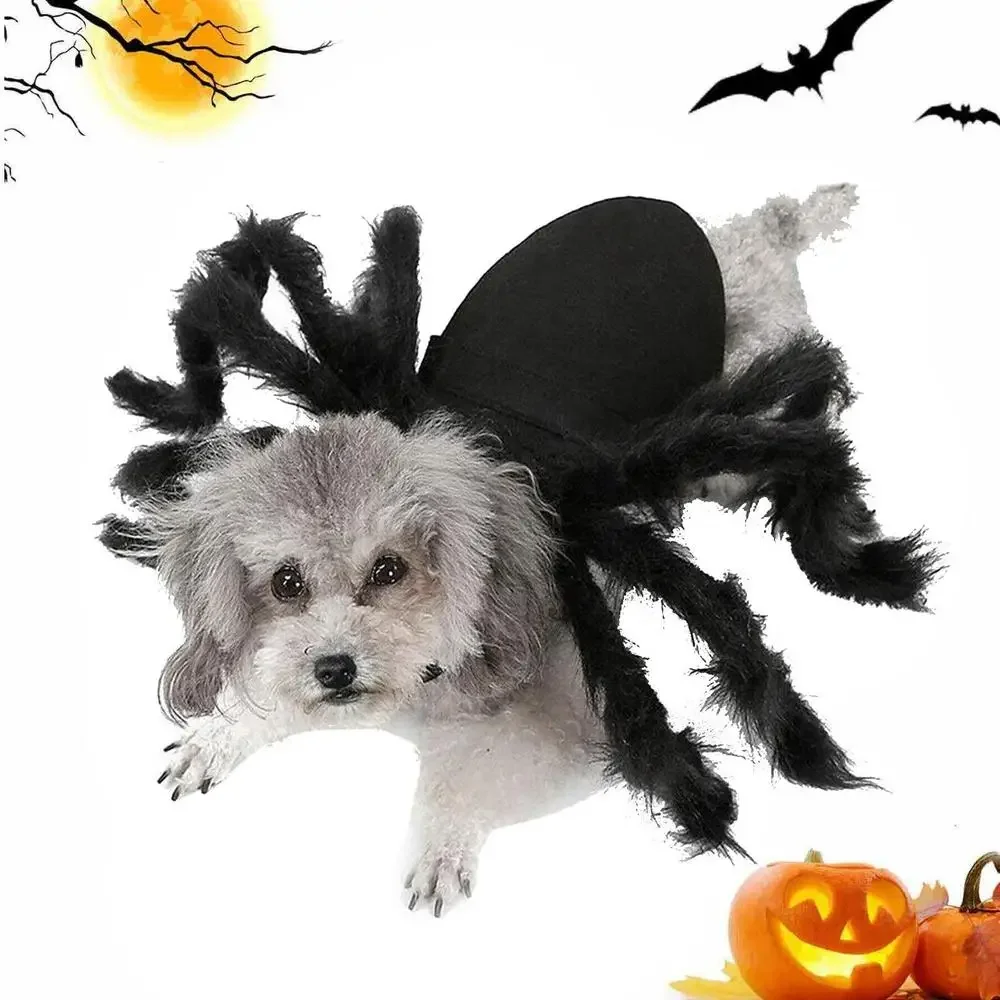 Gato halloween traje gato aranha roupas vestir para cães gatos festa cosplay adereços animal de estimação aranha engraçado roupa para animais de estimação