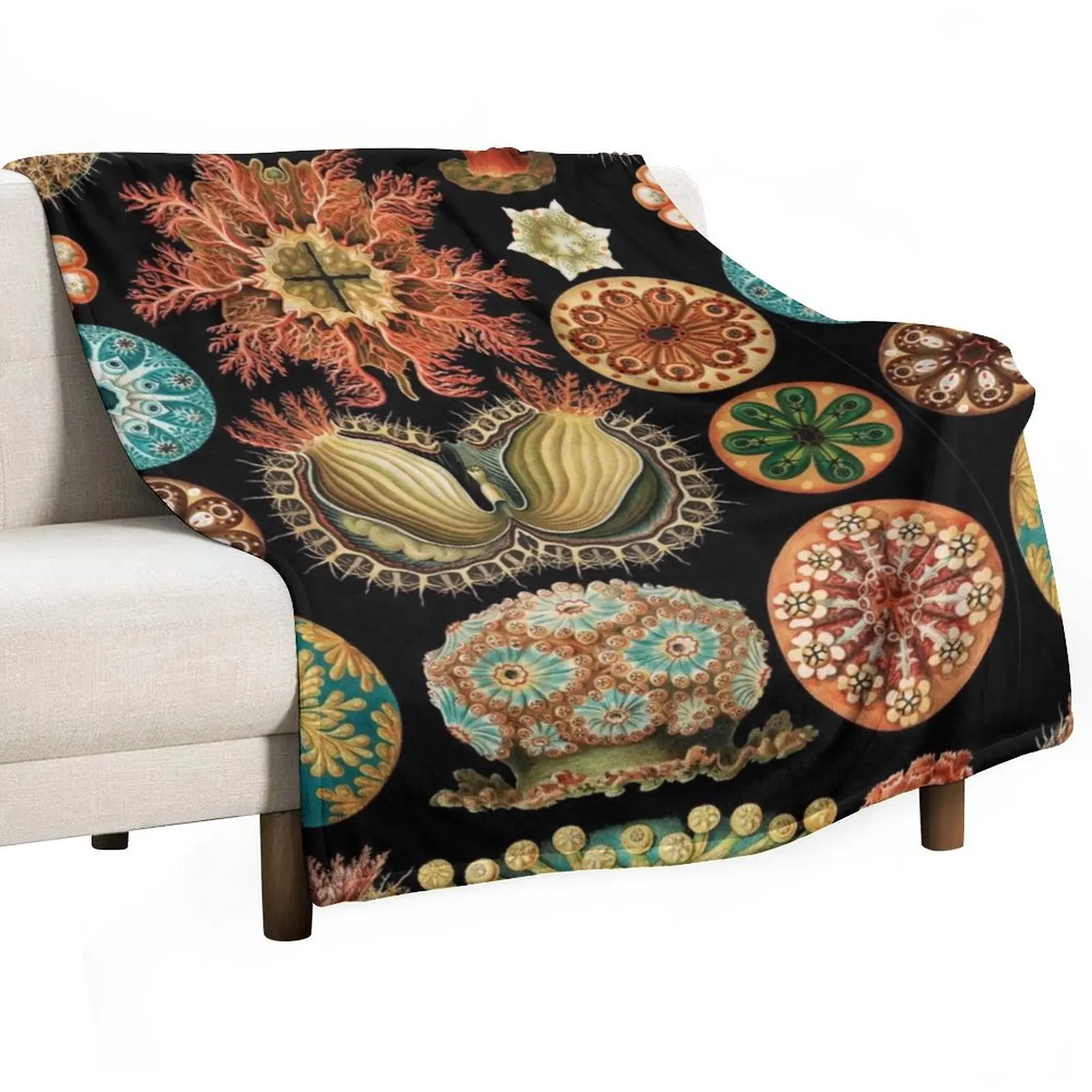 Ascidiacea - رمي بطانية بطانية أرائك للديكور على الشاطئ لبطانيات فروي للأطفال #3