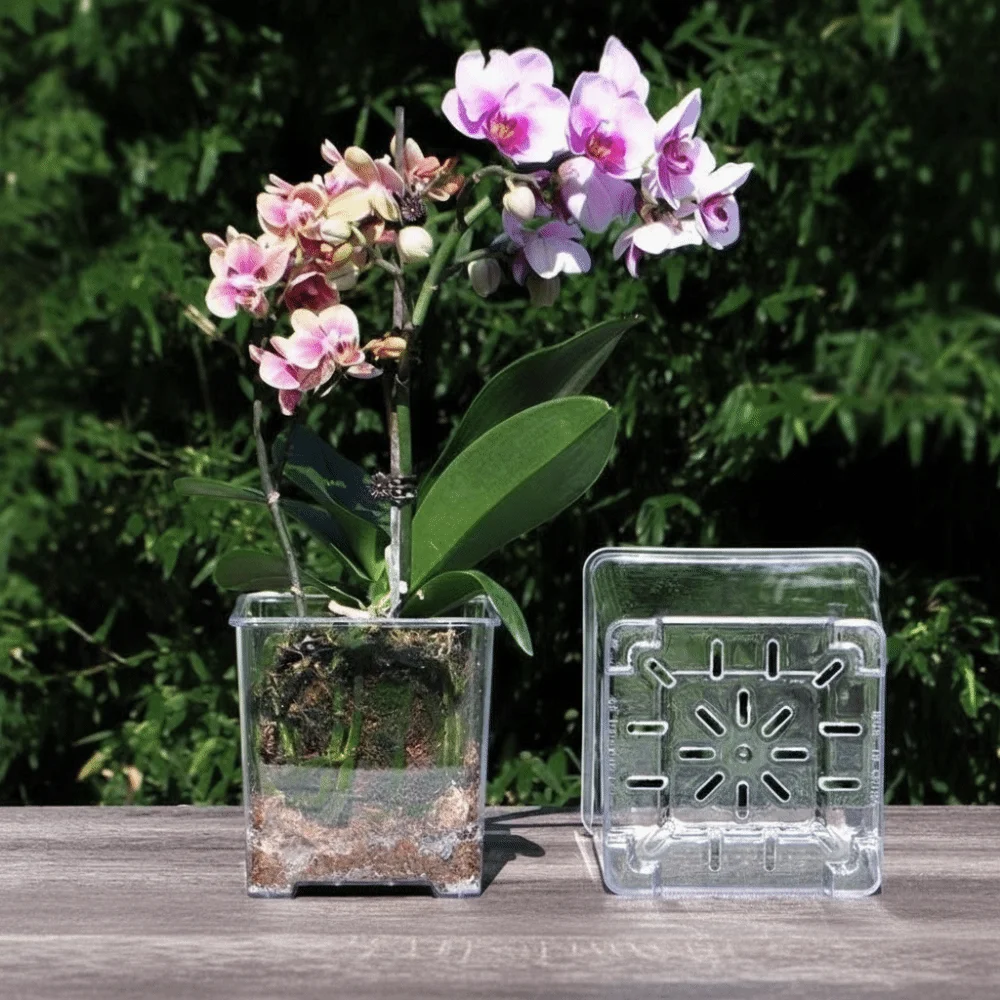 Orchid Potting Mix - 투명 소재 아크릴 화분 배수구 재사용