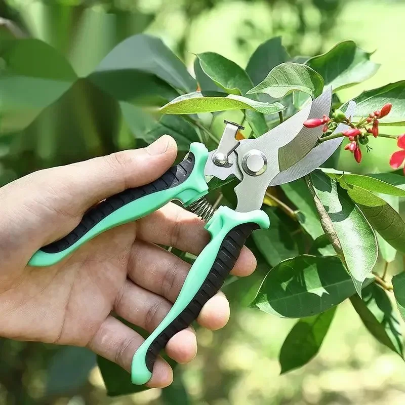 Horticultural Scissors Bird Beak Shape Branch Pruning Labor Saving Pruning Stainless Steel Picking Multifunctional Fruit Scissor