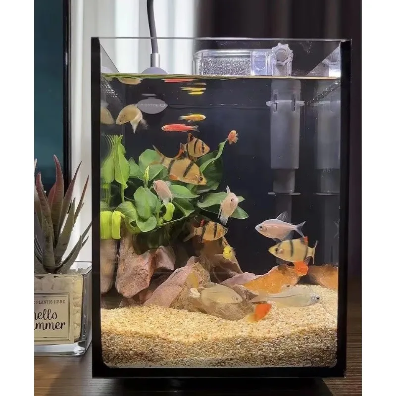 Wholesale Ultra White Clear Bent Glass Fish Tank Small Eco-Friendly Rectangle Salt Water Aquarium Home Use Desktop Box Packing view 4