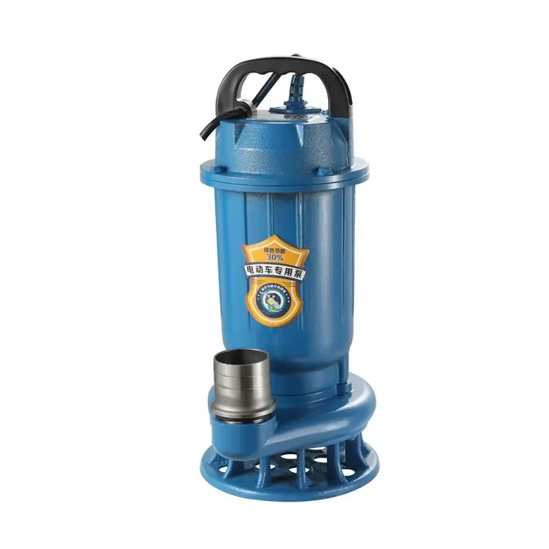 custom 2 Inch Large Flow Field Irrigation Pump for Aquaculture Fish Pond Sewage Submersible DC Brushless Pump