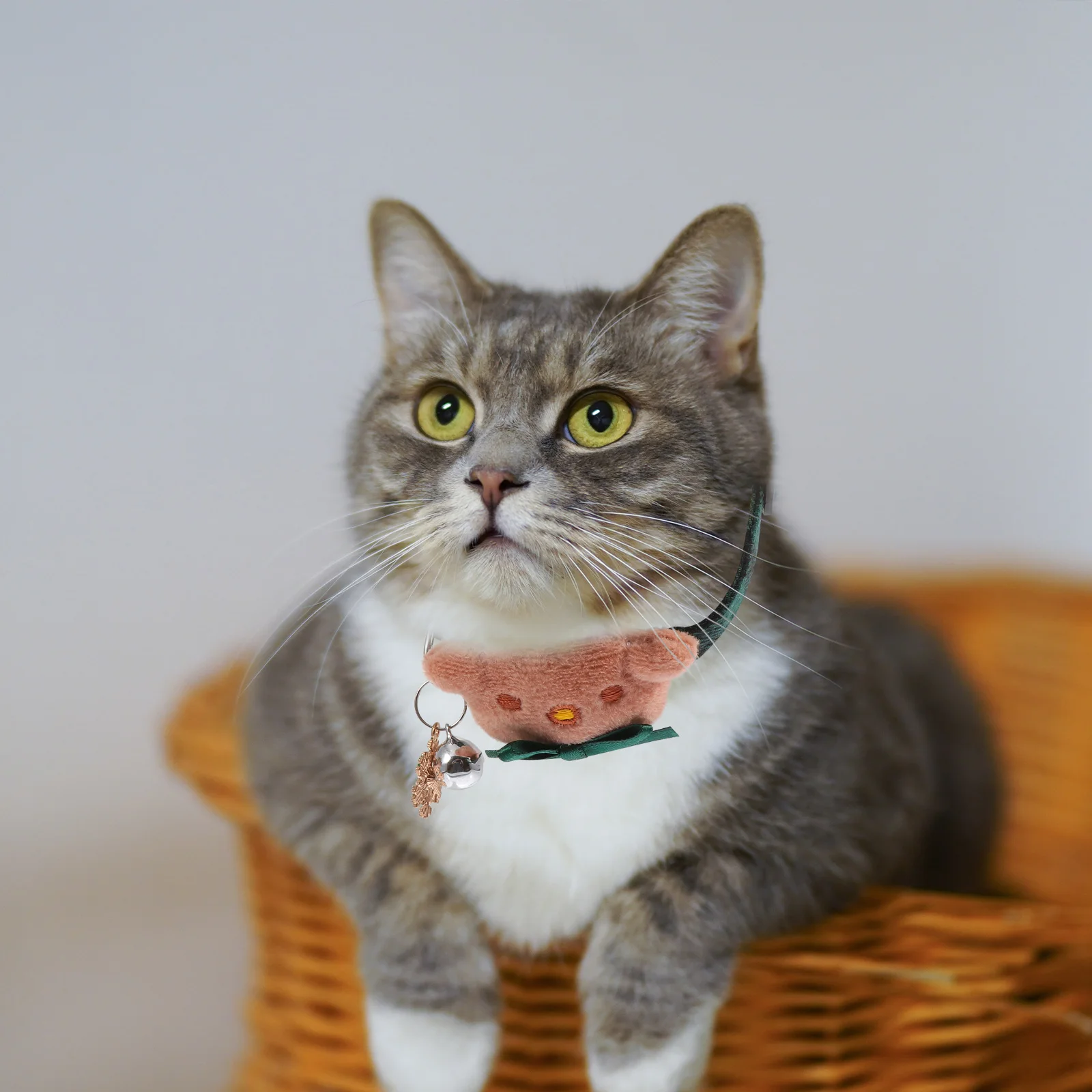 

2 Pcs Bow Tie Pet Collar Cat Holiday Collars Bowtie Kitten Cute Red Adjustable with