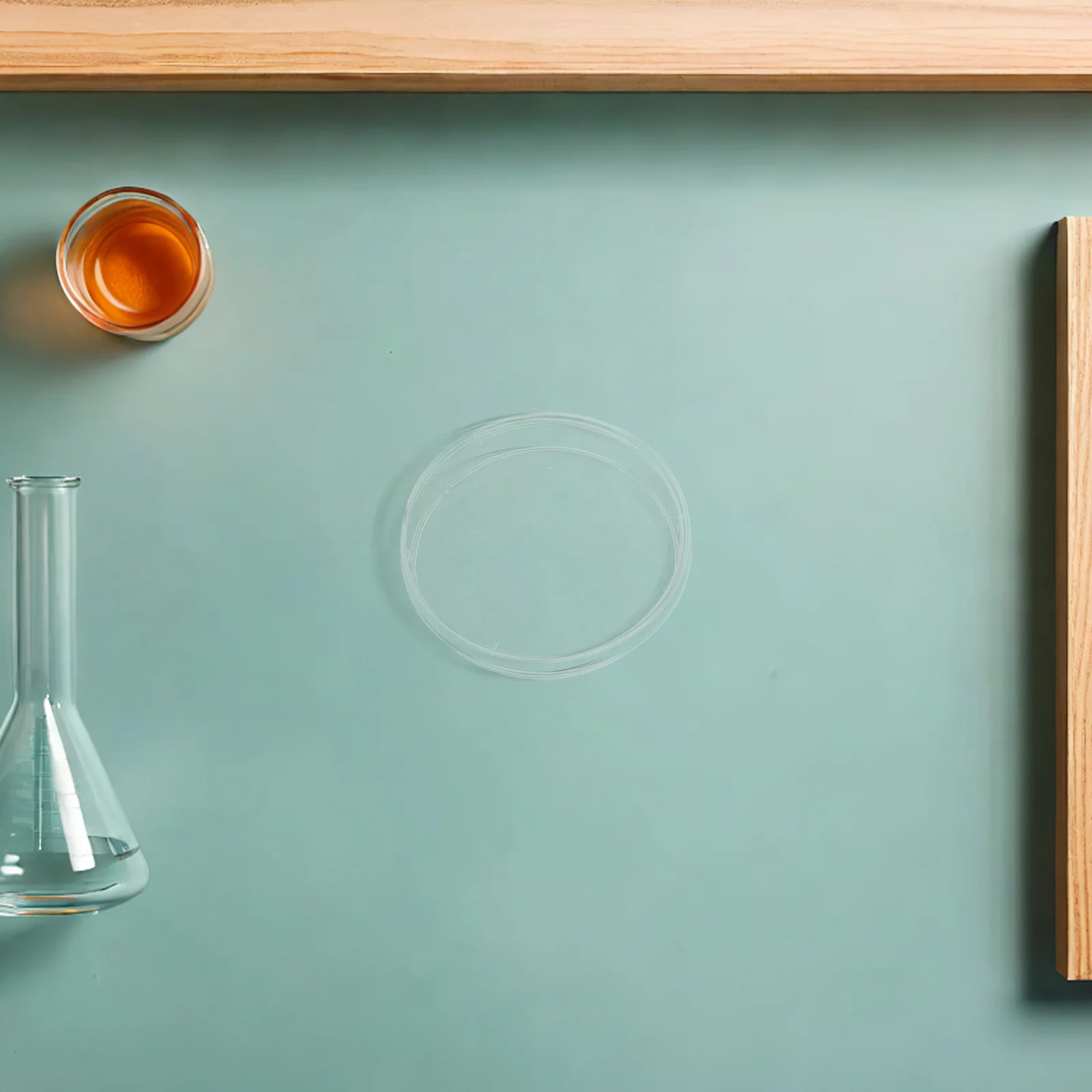 

20Pcs Plastic Petri Dishes 70mm Transparent Disposable Laboratory Culture Dishes for Biology Microbiology Experiment Study