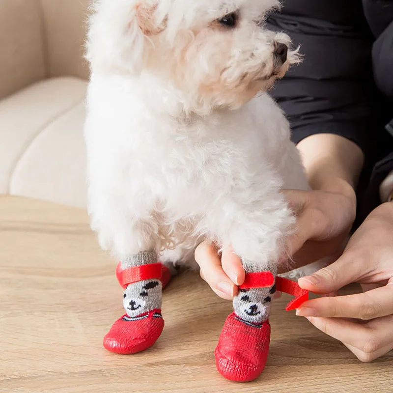 Thumbnail 3 - #6 Best Dog Boots to Buy In 2026