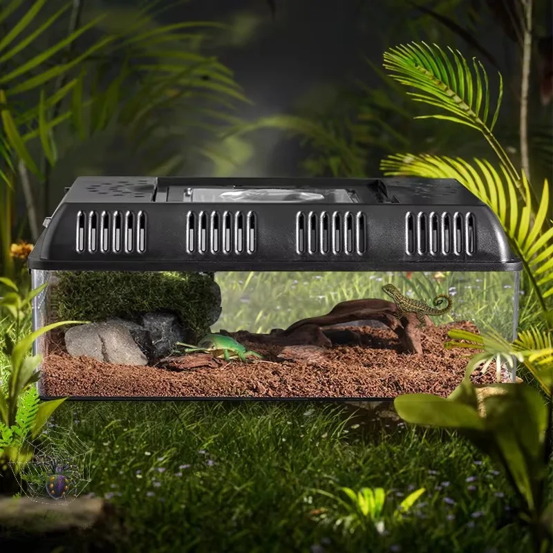 

With Magnifier Reptile Portable Square Plastic Reptile Breeding Box Enclosure Spider Feeding Reptile tank