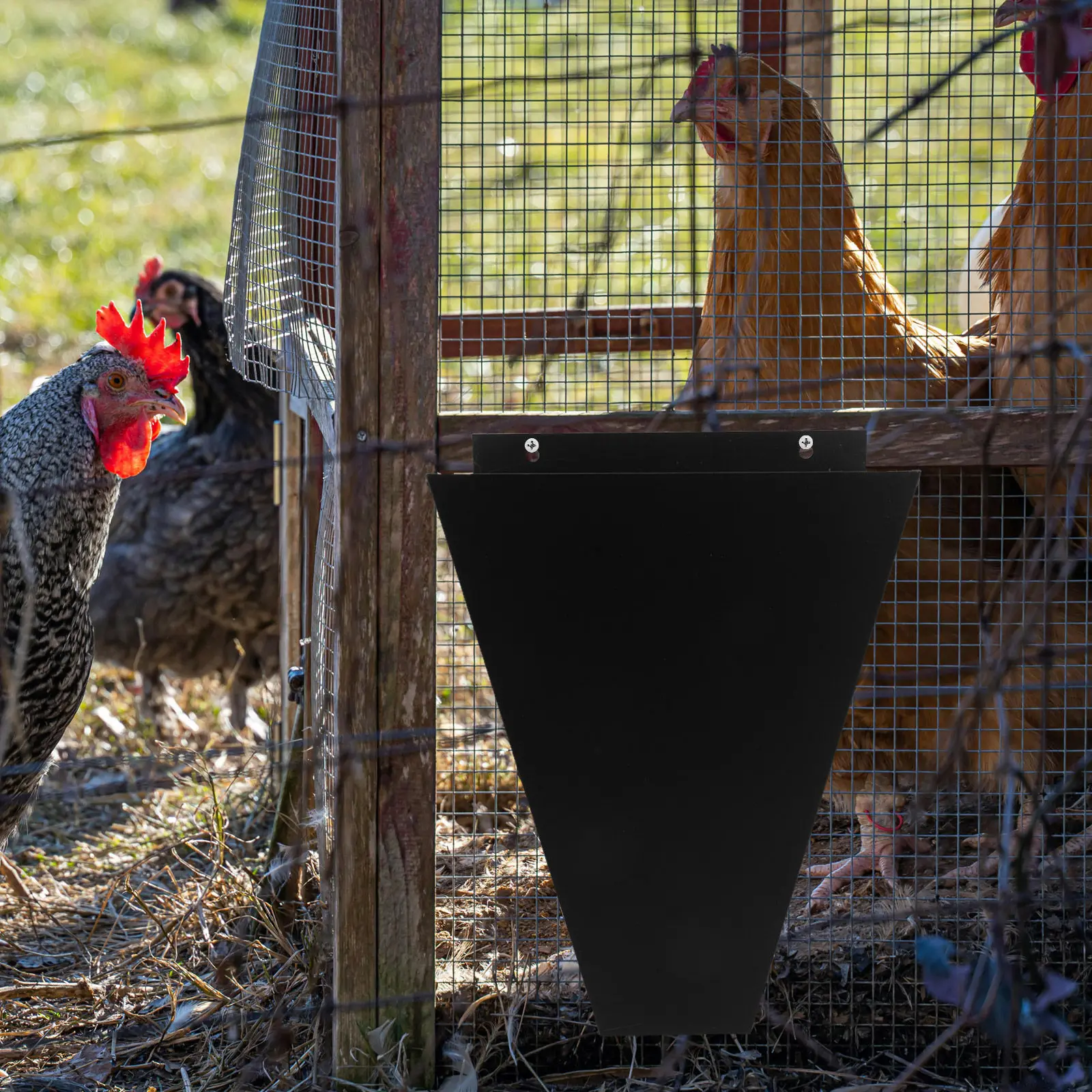 

Metal Bleeding Funnel for Small Roosters and Large Chickens Poultry Restraint Cone Chicken Slaughtering Equipment