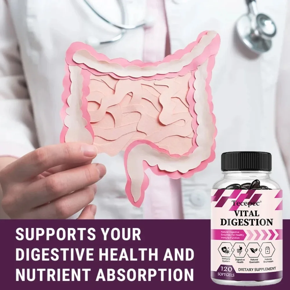 Vital Digestion, Quercetin + Bromelain Natural Digestive Enzymes for Healthy Immune Function, 120 Veg Capsules