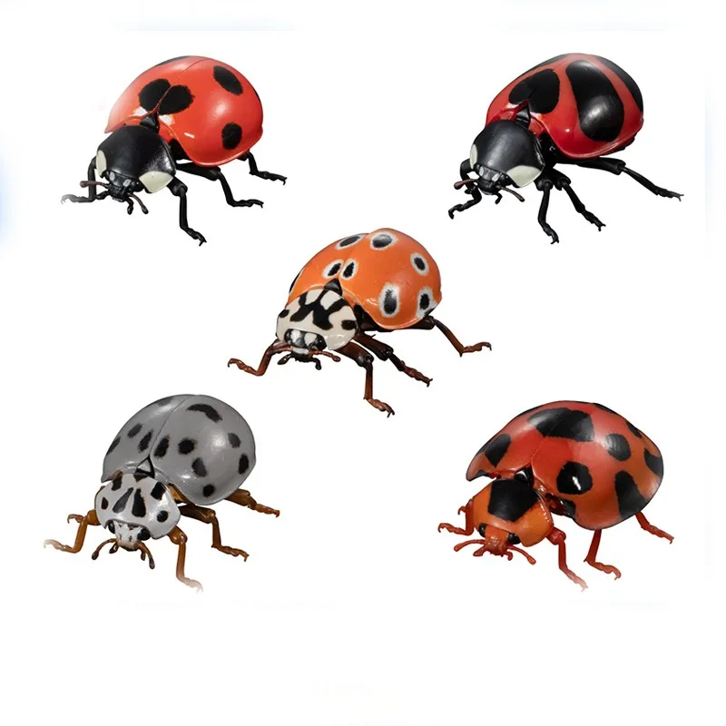 BANDAI Gashapon Biology Illustrated Guide Coccinella Septempunctata Childhood Memories Keepsake Holiday Gifts Figure Model Toys