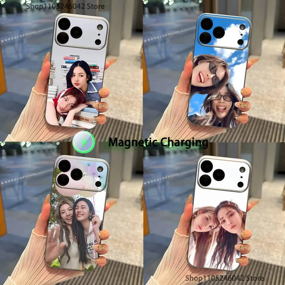 L-Lingorm For iPhone 17,16,15,14,13,12,11,Pro,Max,Plus Transparent gray Phone Case Magnetic Wireless Charging